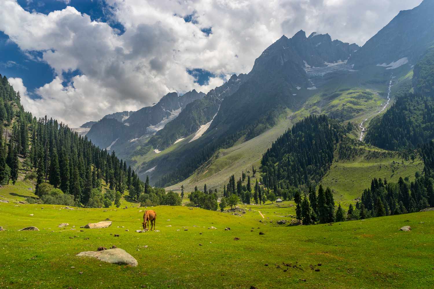 Beauty of Kashmir